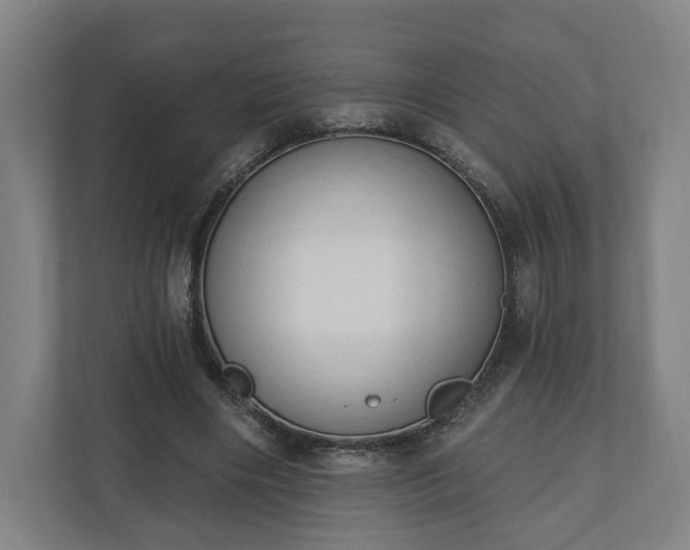 X0000110740490200906221031