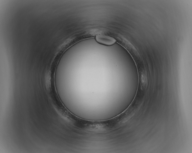 X0000110740492200906221031