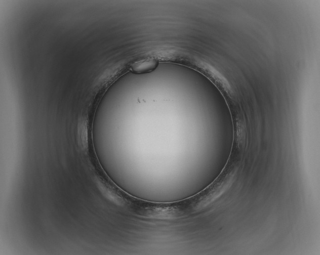 X0000110740493200906221031