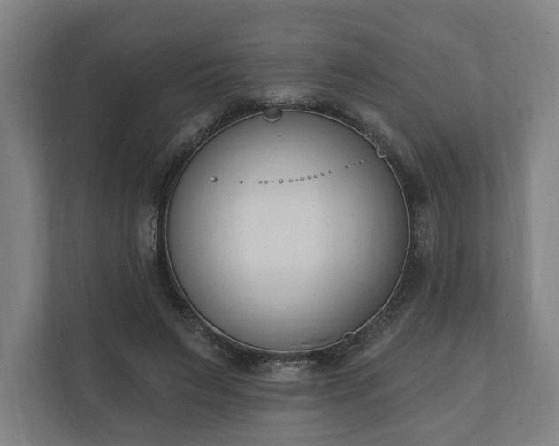 X0000110740495200906221031