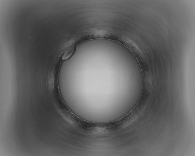 X0000110740496200906221031