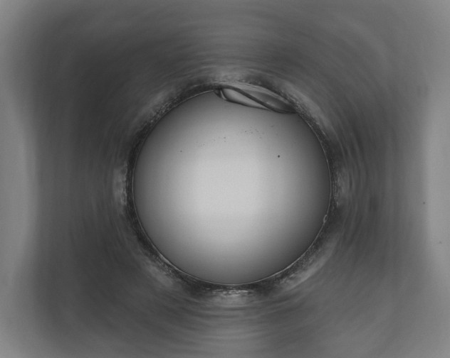 X0000110740497200906221031