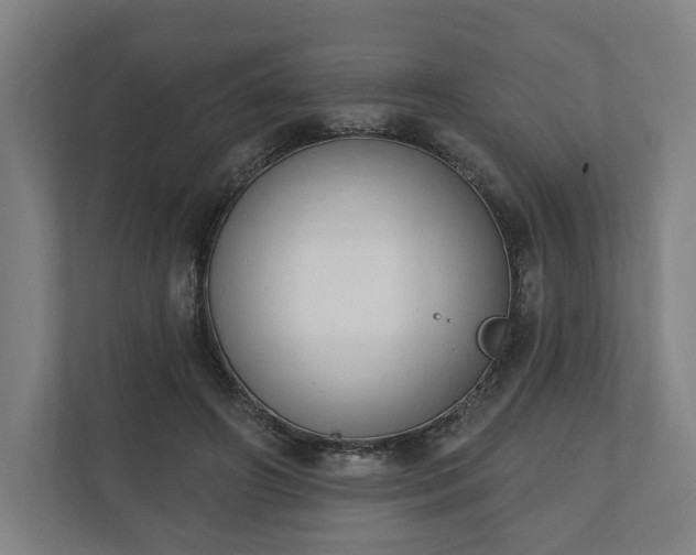 X0000110740498200906221031