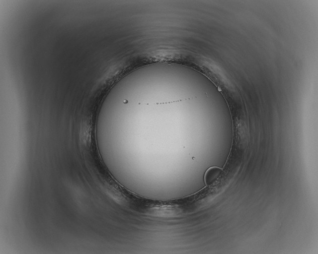 X0000110740499200906221031