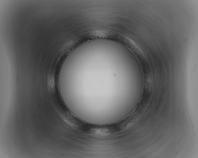 X0000110740500200906221031