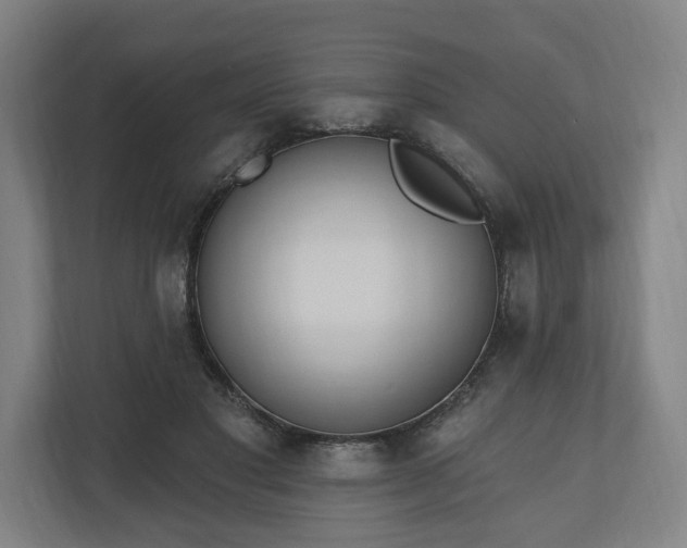 X0000110740501200906221031