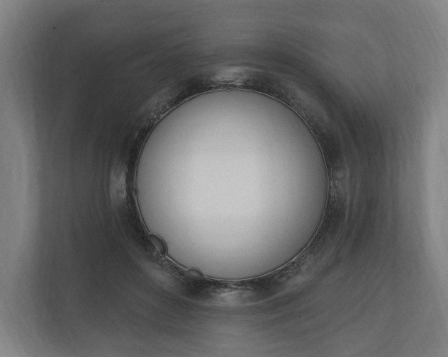X0000110740504200906221031
