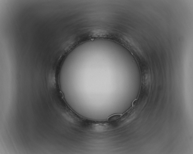 X0000110740508200906221031