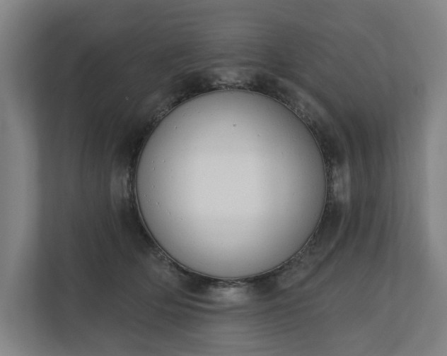 X0000110740514200906221031