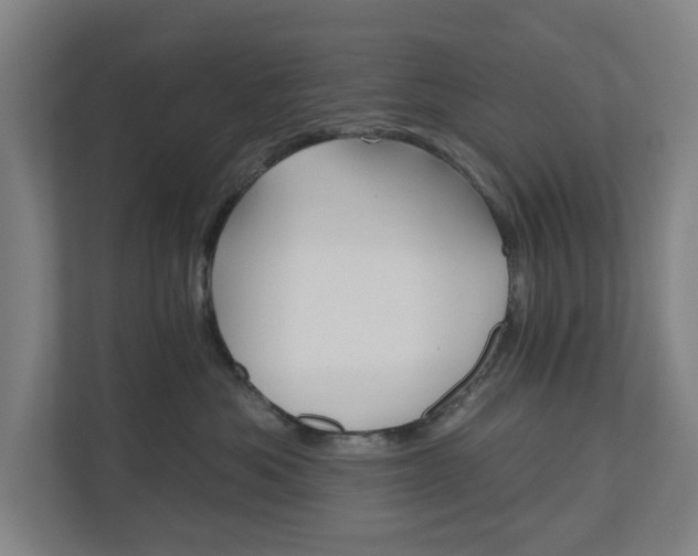 X0000110740525200906221031