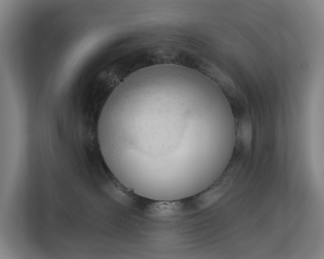 X0000110740526200906221031