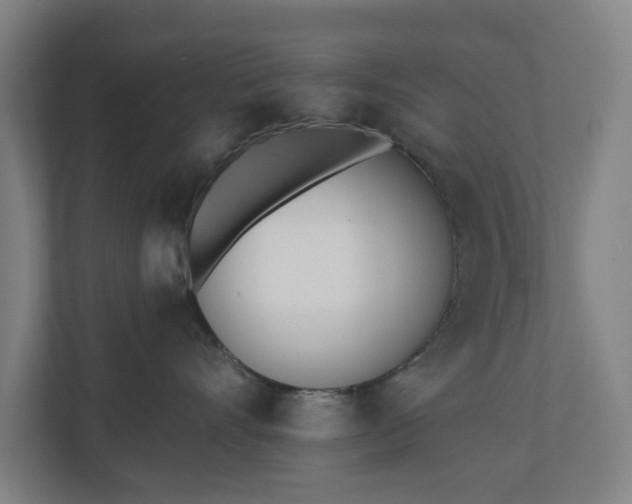 X0000110740528200906221031