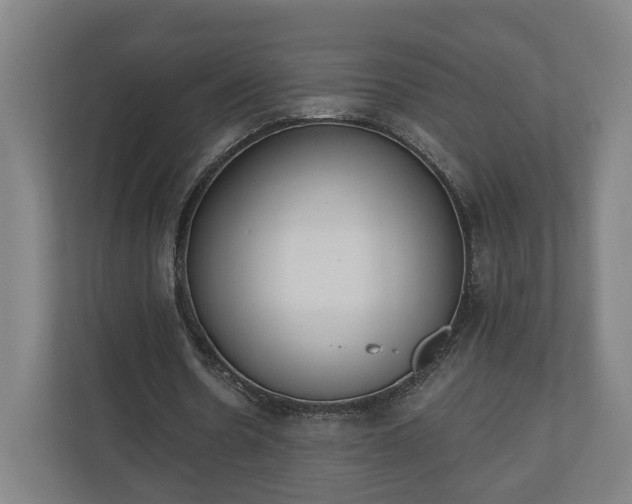 X0000110740530200906221030