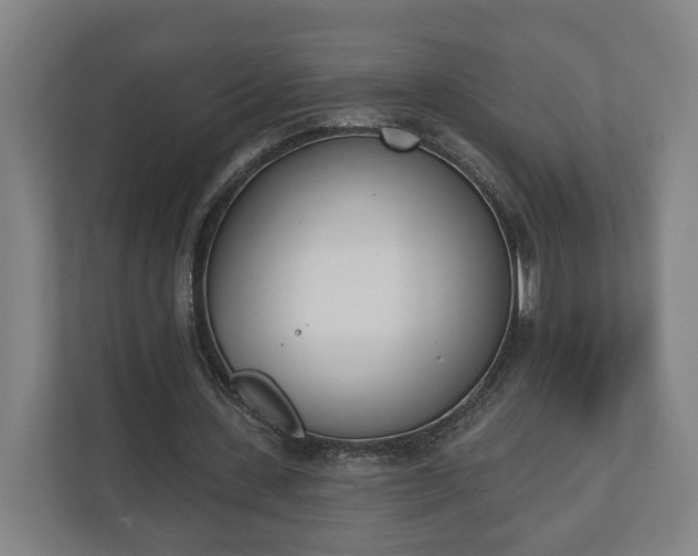 X0000110740531200906221030