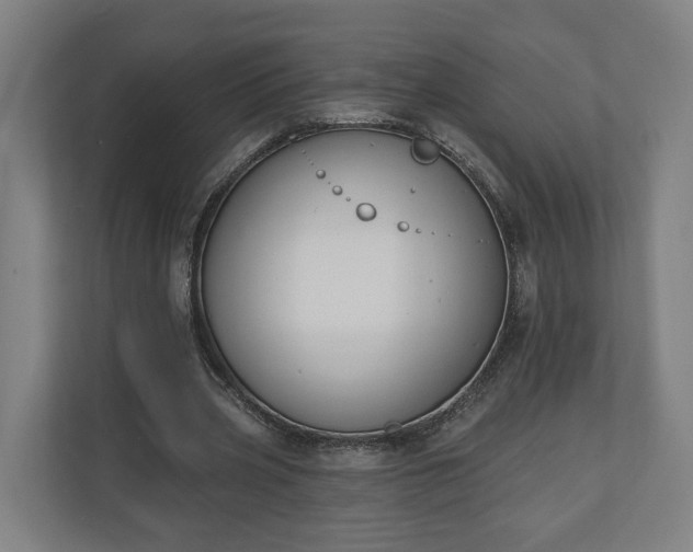 X0000110740533200906221030