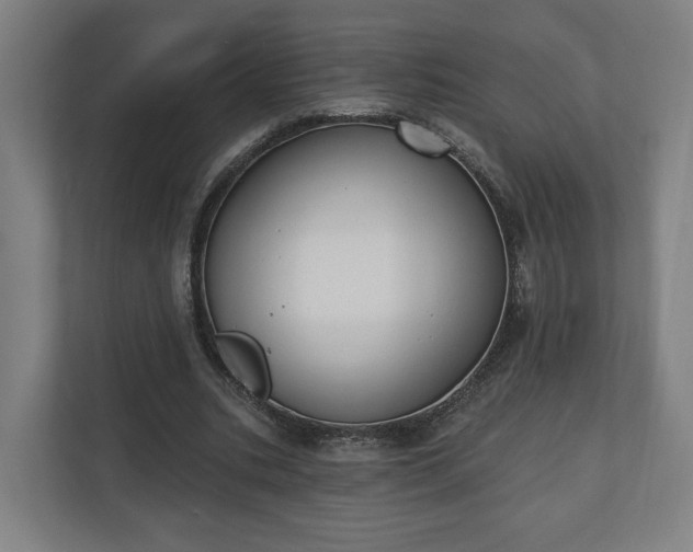 X0000110740535200906221030