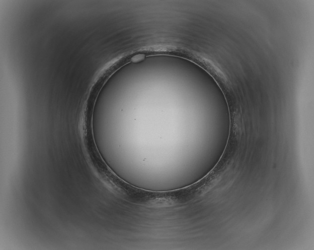 X0000110740536200906221030