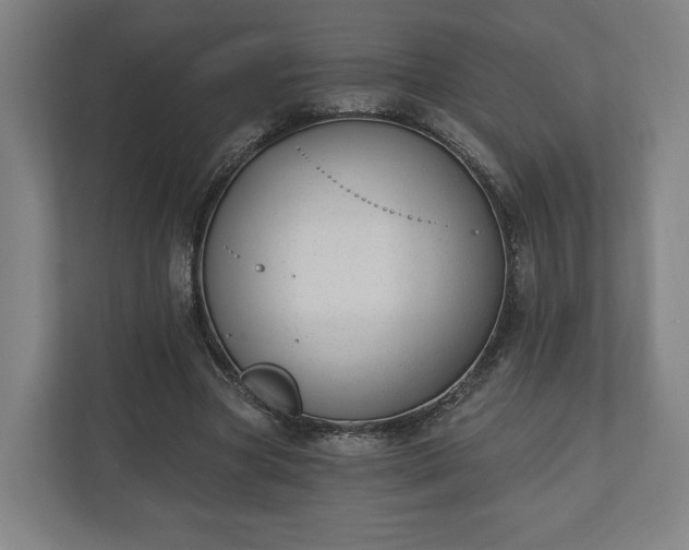 X0000110740537200906221030