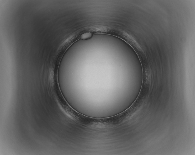 X0000110740538200906221030
