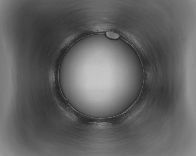 X0000110740539200906221030