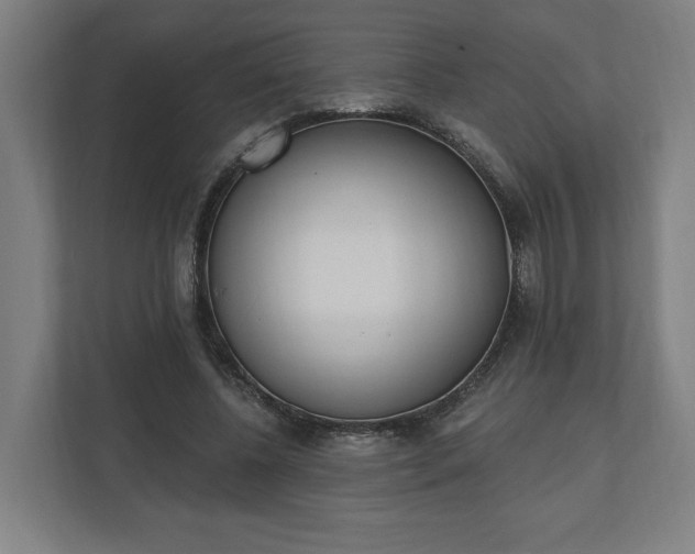 X0000110740540200906221030
