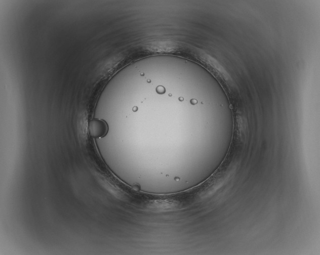 X0000110740541200906221030