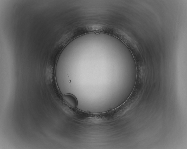 X0000110740545200906221030