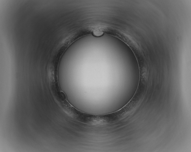 X0000110740547200906221031