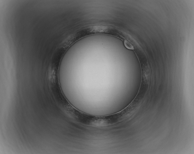 X0000110740551200906221031