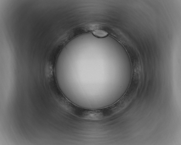 X0000110740555200906221031