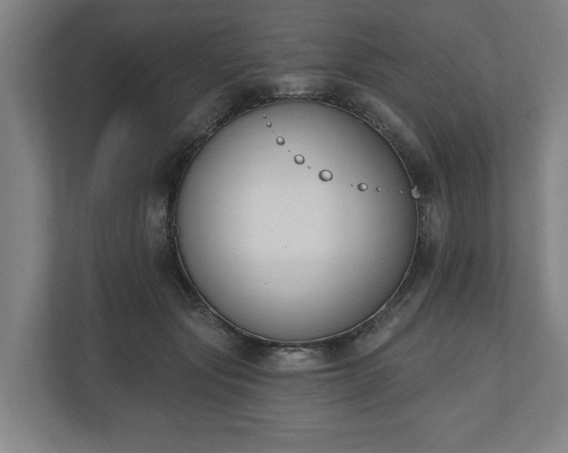 X0000110740557200906221031