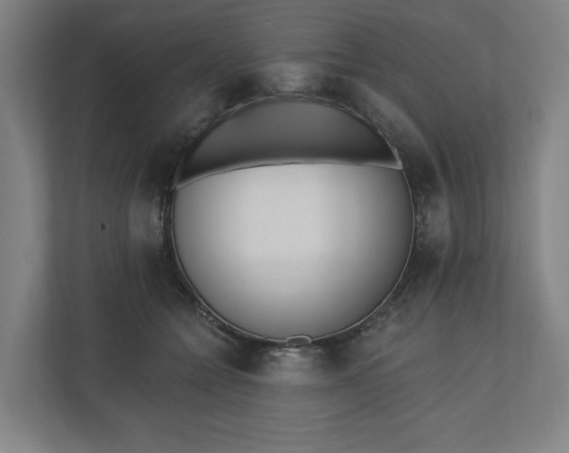 X0000110740558200906221031