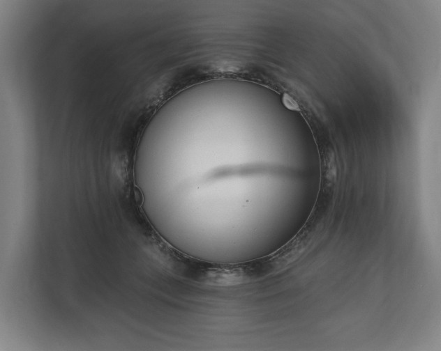 X0000110740559200906221031