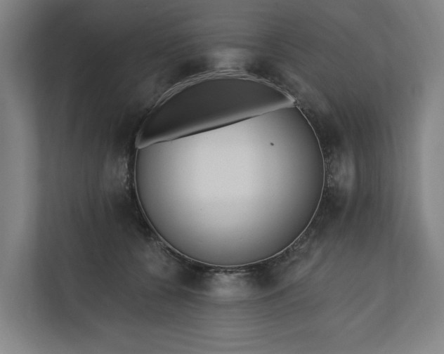 X0000110740560200906221031