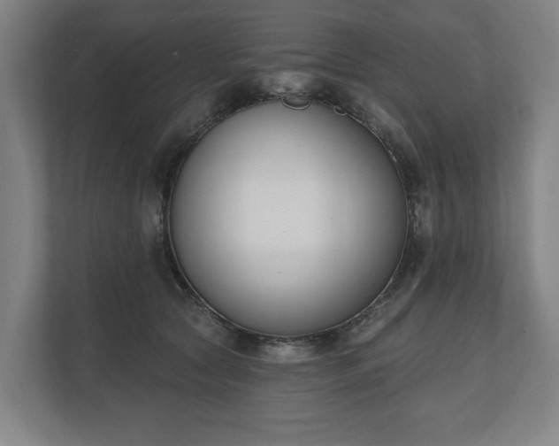 X0000110740561200906221031