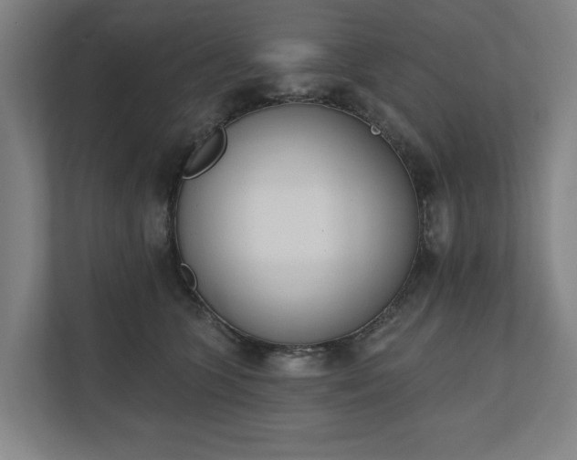 X0000110740563200906221031