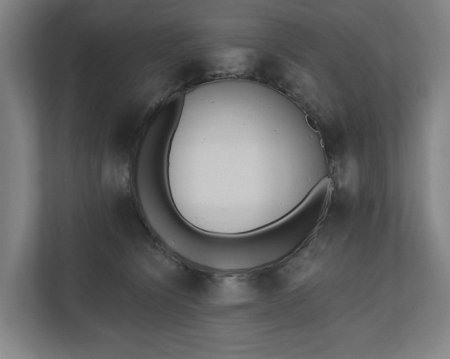 X0000110740564200906221031