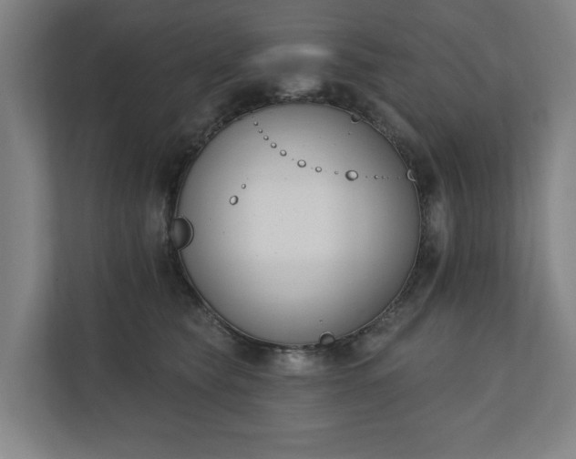 X0000110740565200906221031