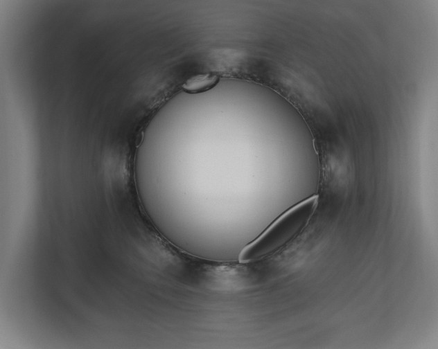 X0000110740566200906221031