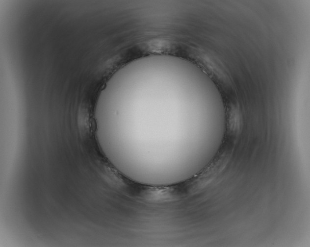 X0000110740569200906221031