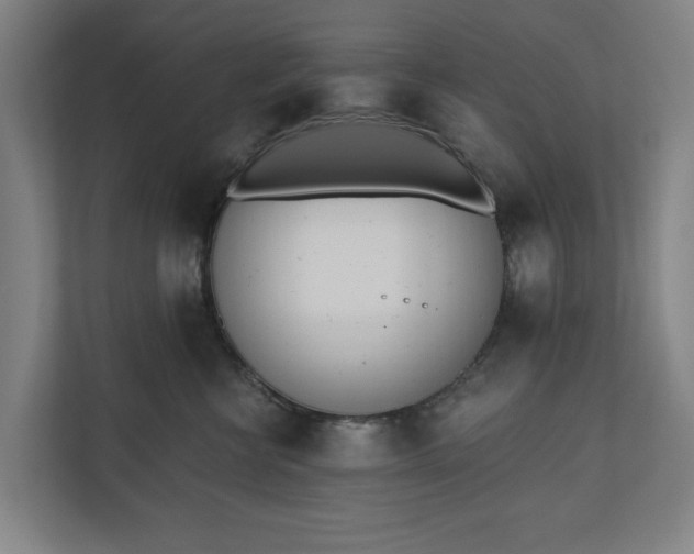 X0000110740570200906221031
