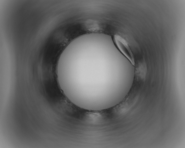 X0000110740572200906221031