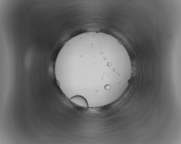 X0000110740573200906221031