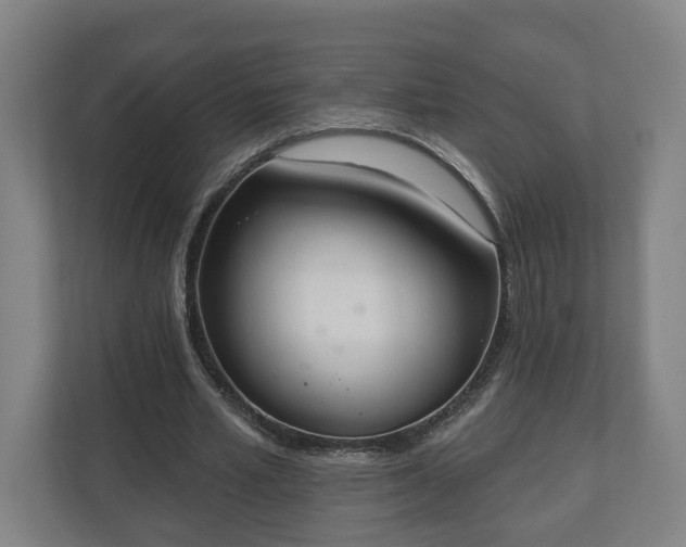 X0000110740581200906221030