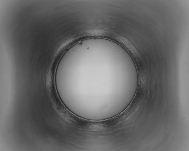X0000110740583200906221030