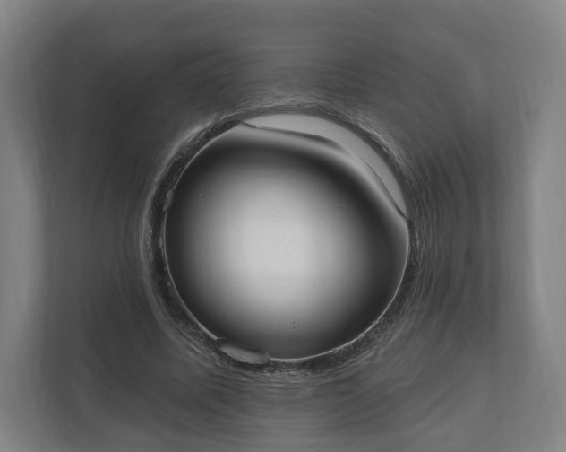 X0000110740587200906221030