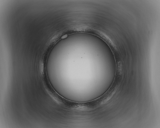 X0000110740589200906221030