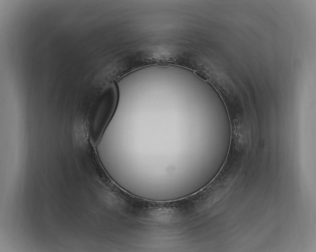 X0000110740593200906221030