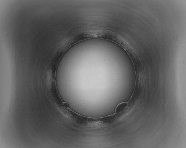 X0000110740594200906221030