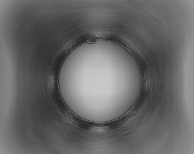 X0000110740595200906221030